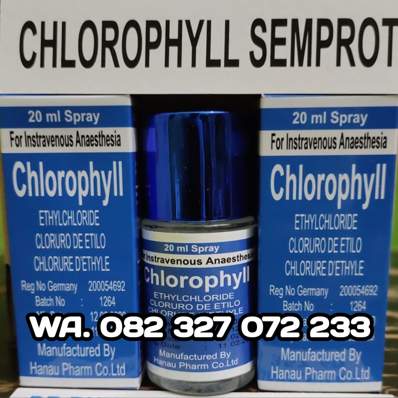 Chlorophyll Spray Asli