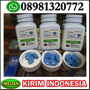 penjual viagra usa di medan bisa cod wa 08981320772